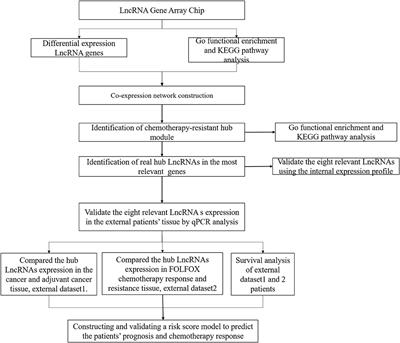 Identification of LncRNAs Associated With <mark class="highlighted">FOLFOX</mark> Chemoresistance in mCRC and Construction of a Predictive Model